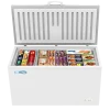 KoolMore Commercial Chest Freezer, 60 In, 16 Cu. Ft