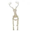 Light-Up Deer Skeleton Decoration, Ivory, 60", Halloween by Way To Celebrate