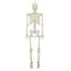 Light-Up LED Poseable Skeleton, Multicolor, 5', Halloween by Way To Celebrate