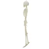 Light-Up LED Poseable Skeleton, Multicolor, 5', Halloween by Way To Celebrate