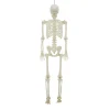 Light-Up LED Poseable Skeleton, Multicolor, 5', Halloween by Way To Celebrate