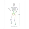 Light-Up LED Poseable Skeleton, Multicolor, 5', Halloween by Way To Celebrate
