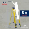 Louisville Ladder 5-Foot Fiberglass Step Ladder, 250-Pound Load Capacity, Type I - FS2005
