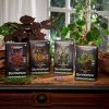 Magic: The Gathering Bloomburrow Commander Deck Bundle - 4 Decks