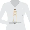 Mini Faux Posable Skeletons, 8", 3 Count, Halloween by Way To Celebrate