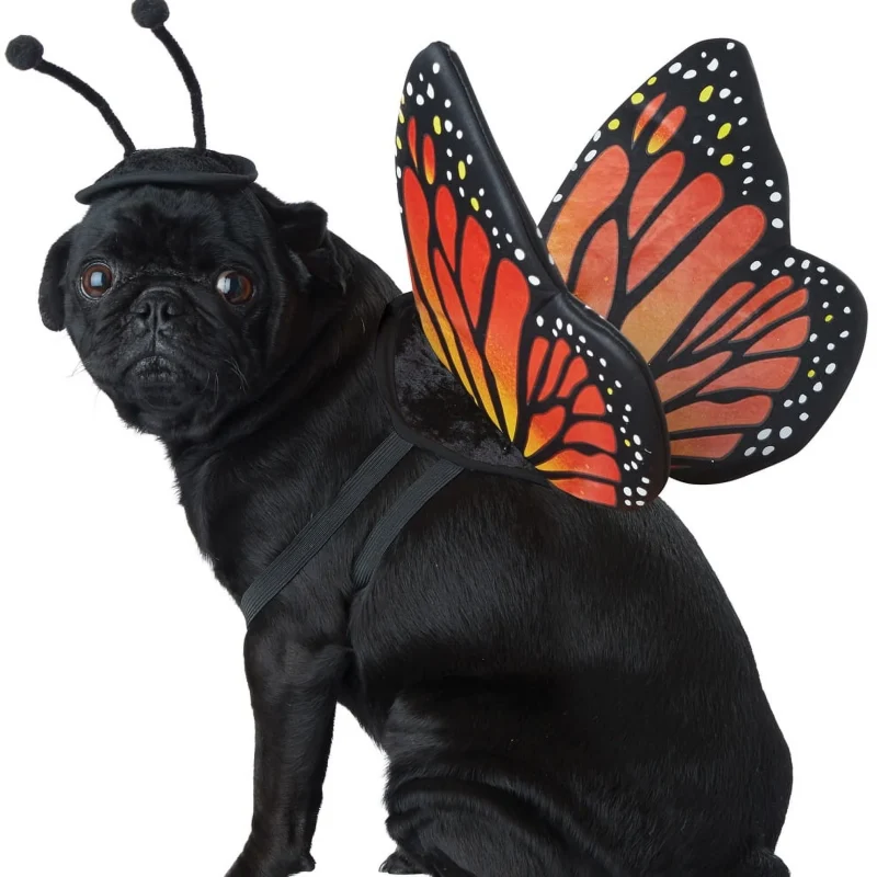 Monarch Butterfly Pet Costume