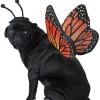 Monarch Butterfly Pet Costume