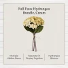 My Texas House Fall Faux Hydrangea Bundle, Cream, 20"