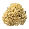 My Texas House Fall Faux Hydrangea Bundle, Cream, 20"