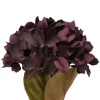 My Texas House Fall Faux Hydrangea Bundle, Dark Purple, 20"