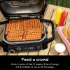 Ninja Woodfire 7-in-1 141-sq-in Outdoor Electric Grill, Smoker & Air Fryer - OG701