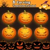 Ninonly Pumpkin Carving Kit,Professional 17Pcs Stainless Steel Pumpkin Knives Tool with Carrying Bag,for Pumpkin Jack-O-
