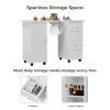 OmySalon Manicure Table Nail Desk With Electric Dust Collector, 4 Drawers, 3-Layer Cabinet
