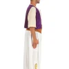 Plus Size Disney Aladdin Deluxe Men's Costume