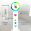 Portable 180 Degree Rotating Ring Light 10.2 Inch iPad Photo Booth Selfie