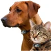 Power Pet Large Electronic Pet Door, RFID-Activated Entry System For Medium To Large Dogs - PX-2