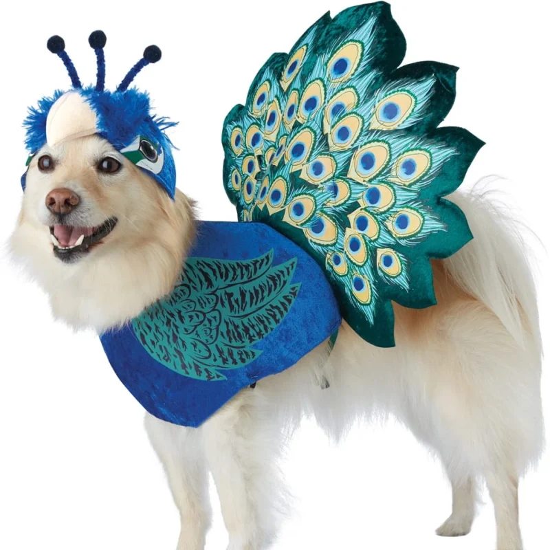 Pretty as a Peacock Pet Costume