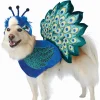 Pretty as a Peacock Pet Costume