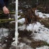 Pullerbear Tree And Weed Puller - 3in Diameter