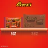 Reese's Assorted Milk Chocolate Snack Size Peanut Butter Shapes, Halloween Candy Bag, 9 oz