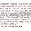REESE'S Milk Chocolate Snack Size Peanut Butter Pumpkins, Halloween Candy Jumbo Bag