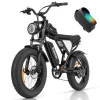 Ridstar Fat Tire Electric Bike 1200 W 48 V 15.6 Ah 20 inch Wheels 7-Speed Full Suspension