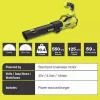 RYOBI 40V Brushless 20 in Self-Propelled Mower, String Trimmer & Leaf Blower Kit With 2 Batteries, 2 Chargers - RY401120