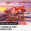 Samsung 32-Inch QLED Q60A 4K UHD Smart TV With Alexa Built-In - QN32Q60AAFXZA