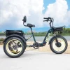 DWMEIGI Silverado 20 Foldable Fat Tire Electric Trike 48V/14AH 750W, 330LBS - MG2301