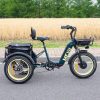 DWMEIGI Silverado 20 Foldable Fat Tire Electric Trike 48V/14AH 750W, 330LBS - MG2301