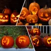 Topsome Halloween Pumpkin Carving Kit, 12 Pcs Professional Heavy Duty Pumpkin Carving Set, Stainless Steel Double-side S