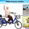 WEIMMIN Adult Folding Tricycle, 20 Inch, 3 Wheel, 7 Speed, Star Strip Blue