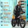 TST 4.0 Fat Tire Foldable Electric Bike, 48V 13Ah, 750W, 20 inch, Black