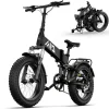 TST Foldable Electric Bike, 20in 4.0 Fat Tire, 48V 13Ah, 750W, Black - Buddy Pro