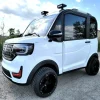 Two-Seat Electric Golf Cart With Air Conditioning And Heat