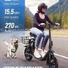 URBANMAX Electric Scooter With Seat, 450W Motor, 22 Miles Range, Black - C1