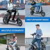 URBANMAX Electric Scooter With Seat, 450W, 22 Miles, Black - C1