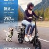 URBANMAX Electric Scooter With Seat, 450W, 22 Miles, Black - C1