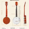 Vangoa 5-String 38 Inch Resonator Banjo Kit, Brown - VBJ-40
