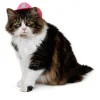 Vibrant Life Halloween Cowboy Hat Costume for Dogs and Cats, Pink