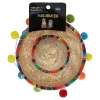 Vibrant Life Halloween Sombrero Hat Costume for Dogs and Cats, Multicolor