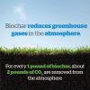 Wakefield Biochar Soil Conditioner