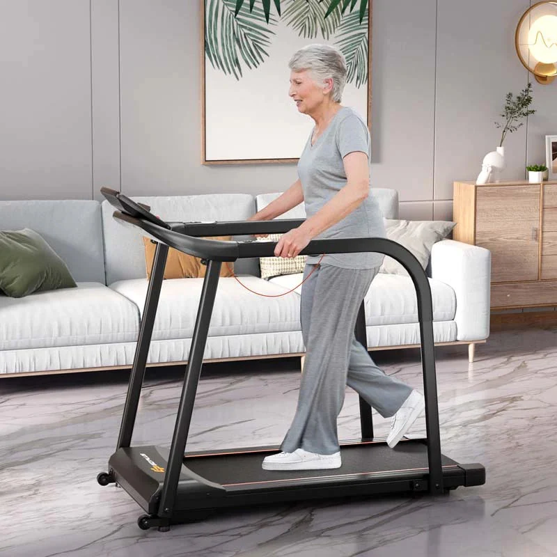 Walking Treadmill For Seniors With Long Handrails, 2.5 HP, 300 lbs Capacity, Black