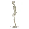 Way To Celebrate 8-Foot Animated Skeleton Plastic Outdoor Halloween Decor
