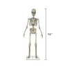 Way To Celebrate 8-Foot Animated Skeleton Plastic Outdoor Halloween Decor