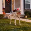 Way To Celebrate Animated Skeleton Cat Halloween Decoration, Beige, 60 in