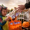 Welch's Fruit Snacks, Halloween, Mixed Fruit, Kids Snacks, 0.5 oz, 26 Count