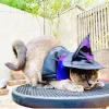 WILLED Halloween Pet Costumes, Cat Wizard Costume, Dog Witch Cloak & Hat, Purple Witch Cloak for Cats, Dogs, Kittens, Pu